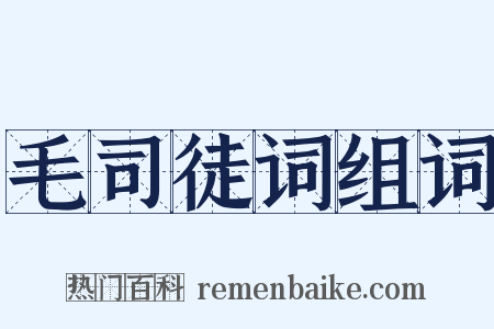 毛司徒词组词是什么意思的图片